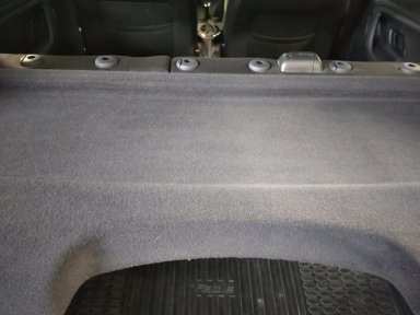 Tylna półka po usuwaniu sierści